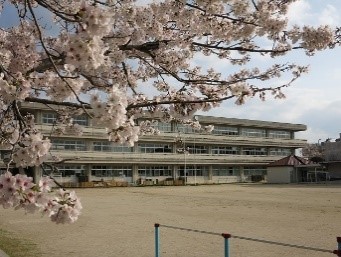 校舎と桜