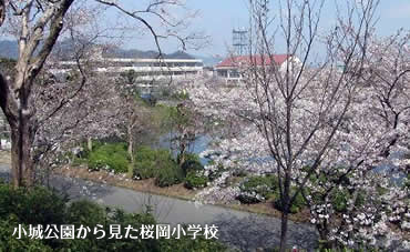 小城公園から見た桜岡小学校